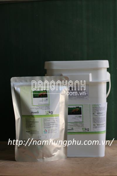BCP80 men vi sinh xử lý phân gia súc