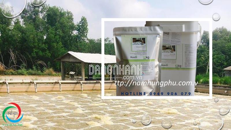 BCP11 Vi sinh hiếu khí xử lý nước thải dệt nhuộm (0949906079)