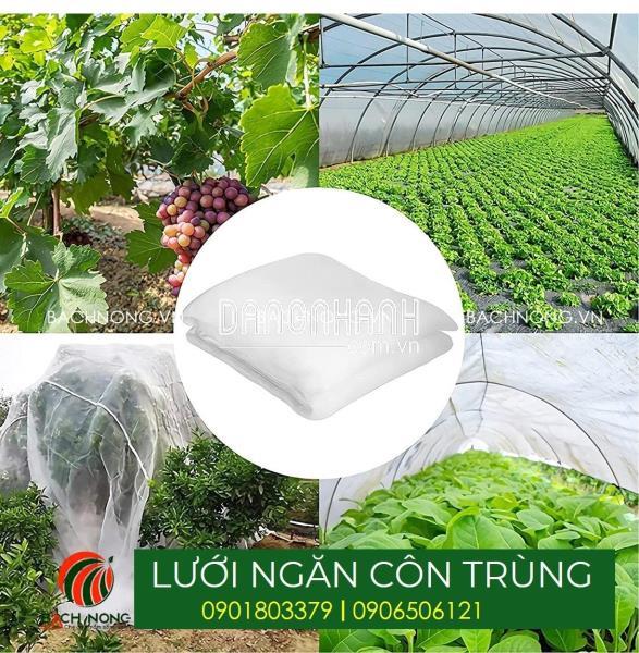 Lưới chắn côn trùng