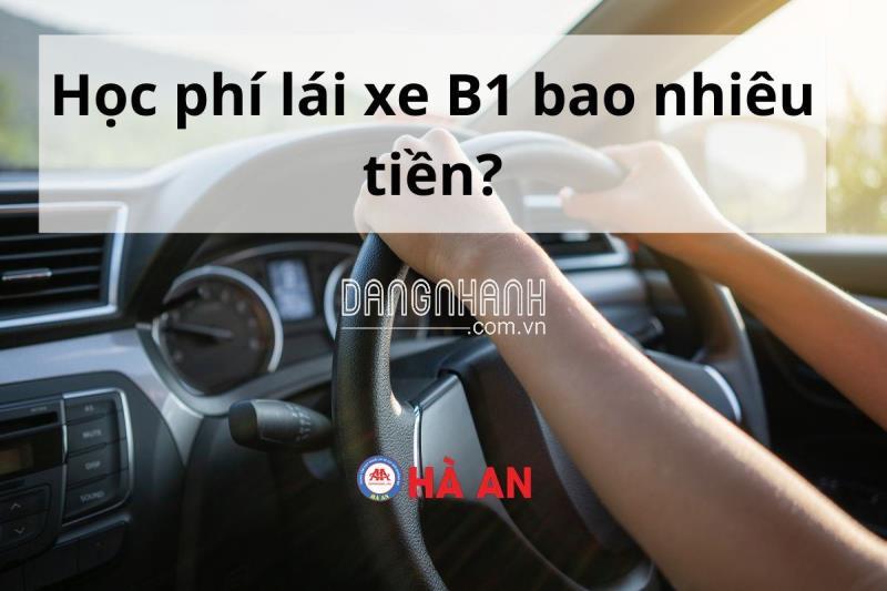 Tong hop cac khoan le phi, hoc phi lai xe B1 nam 2024