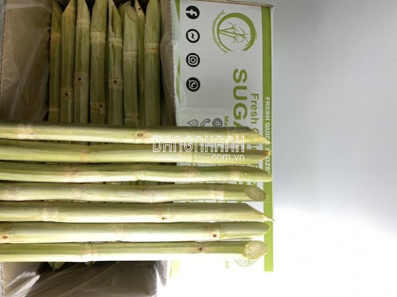 MÍA XUẤT KHẨU VIET GOODS TRADE - CAM KẾT CHẤT LƯỢNG ĐI MỸ