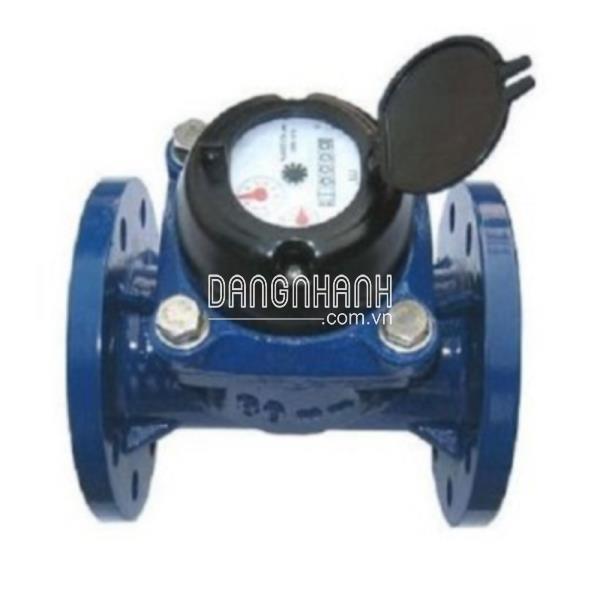 Đồng Hồ Nước LXLG DN200