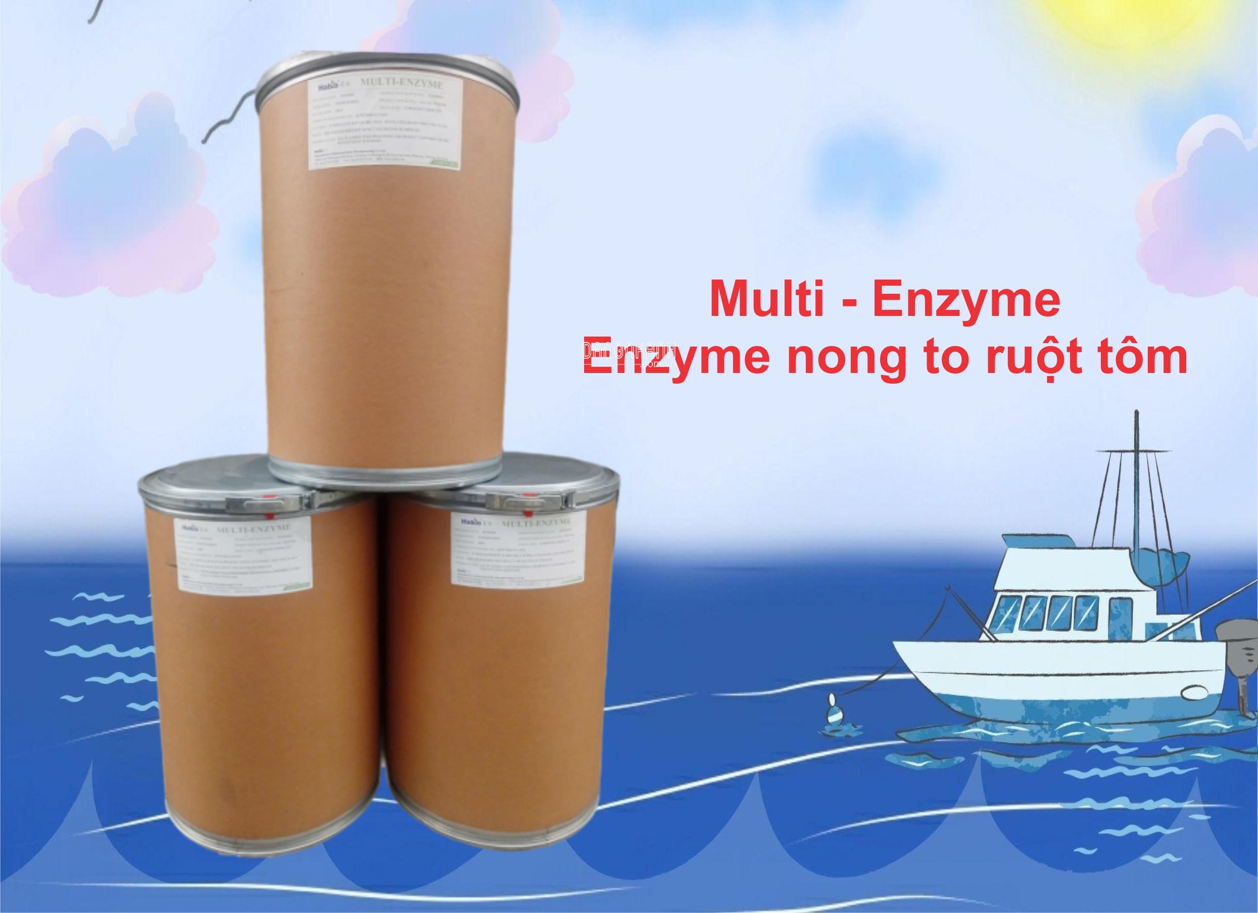 Multi enzyme - Nong to đường ruột, xử lý nước và đáy ao nuôi toàn diện