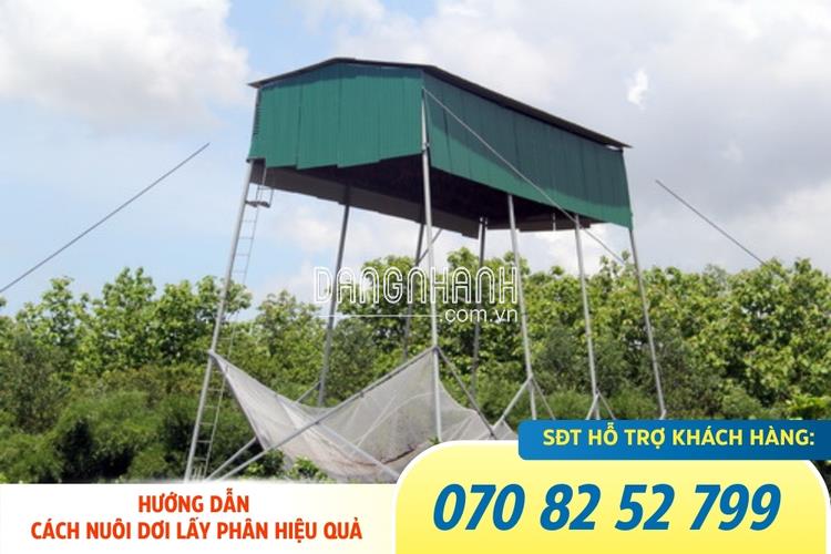 Cách thu hút dơi hiệu quả nhất với máy gọi dơi